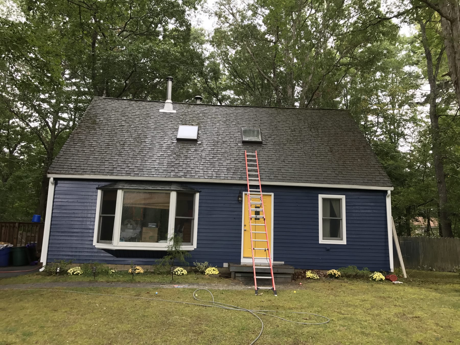 Roof Cleaning