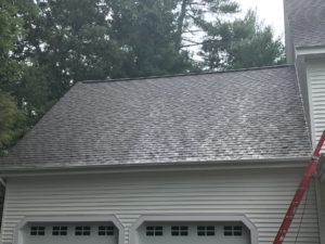 Roof Cleaning